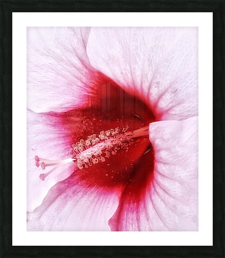 V292 Picture Frame print