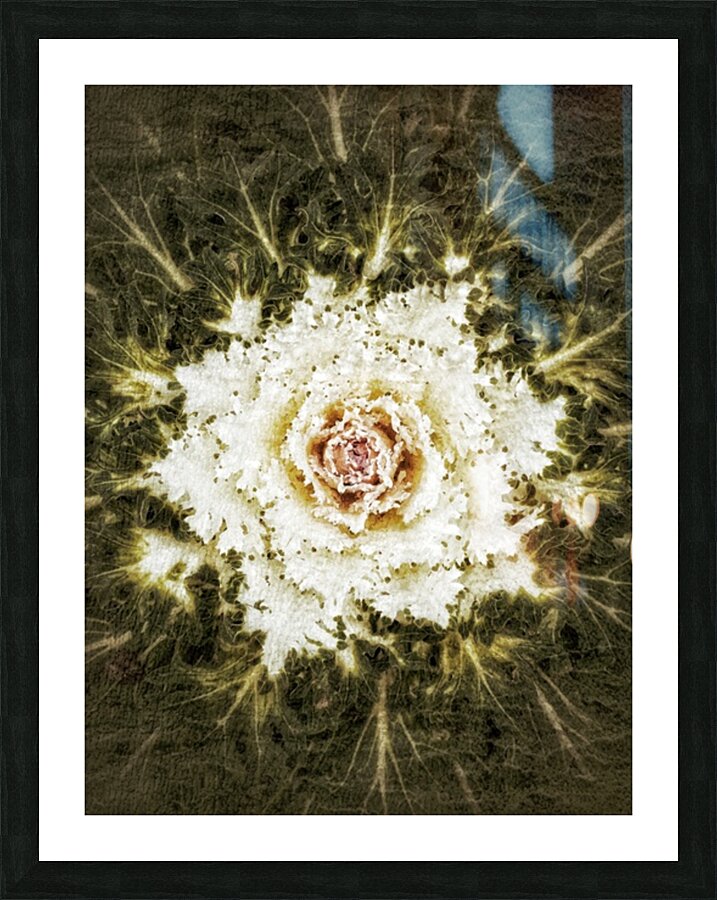 V293 Picture Frame print