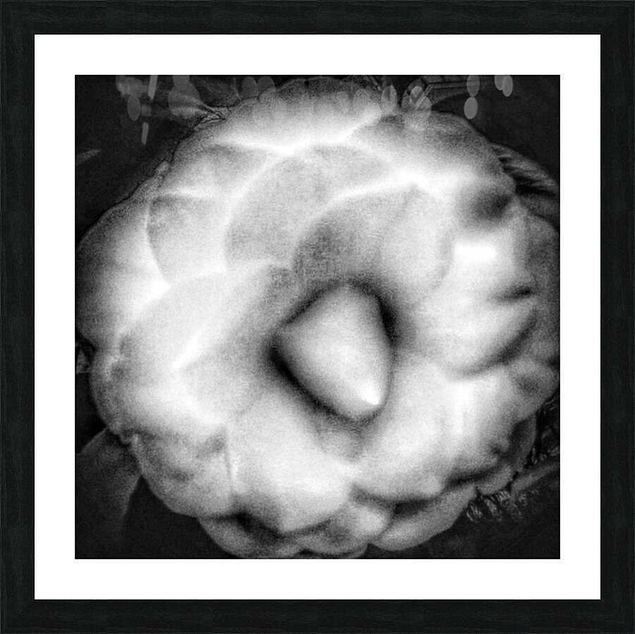 V294 Picture Frame print