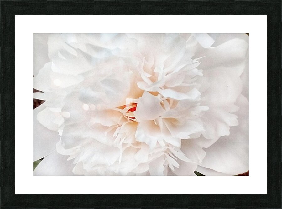 V296 Picture Frame print