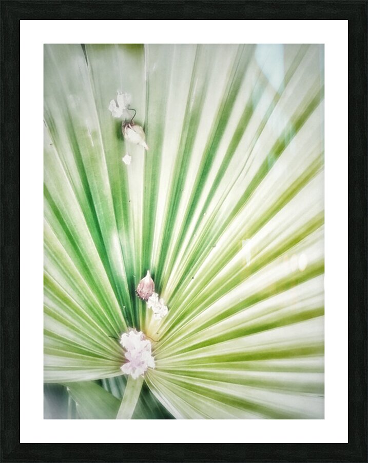V297 Picture Frame print