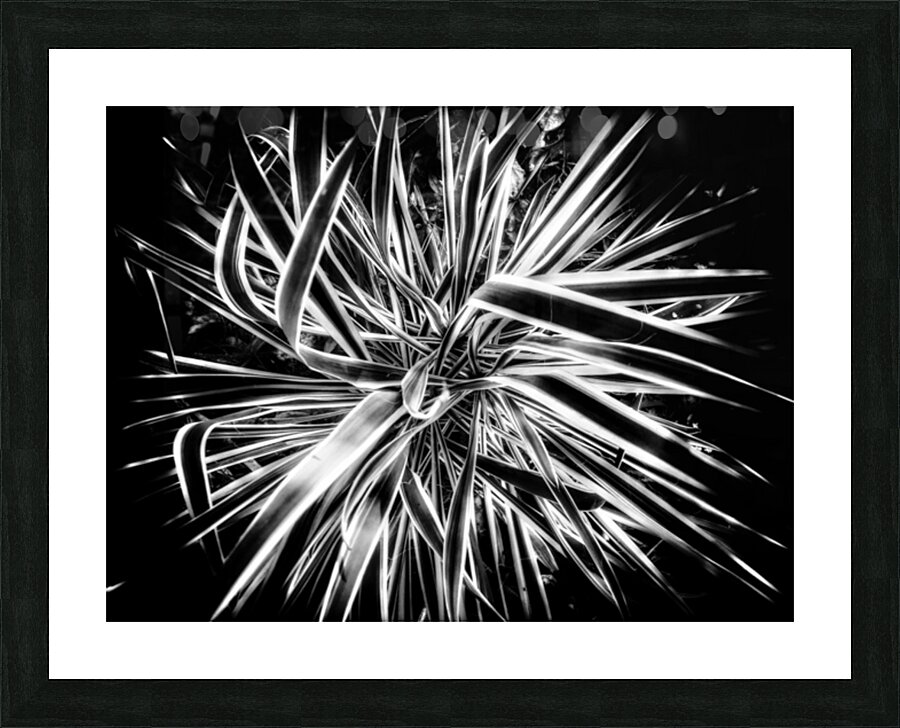 V301 Picture Frame print
