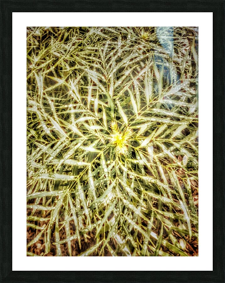V302 Picture Frame print