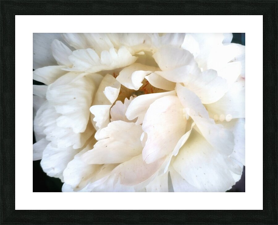 V304 Picture Frame print