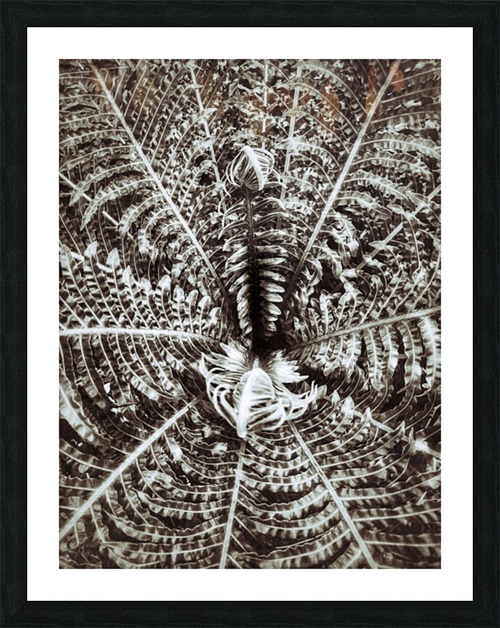 V308 Picture Frame print