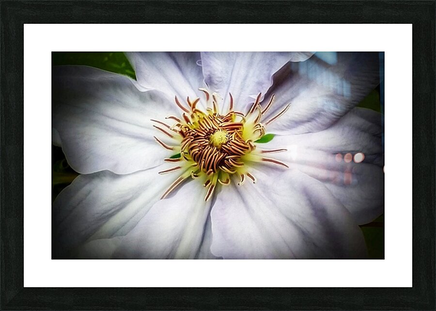 V310 Picture Frame print