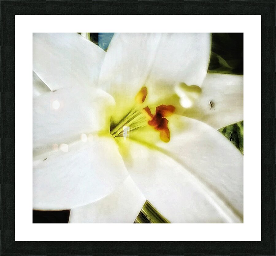 V311 Picture Frame print