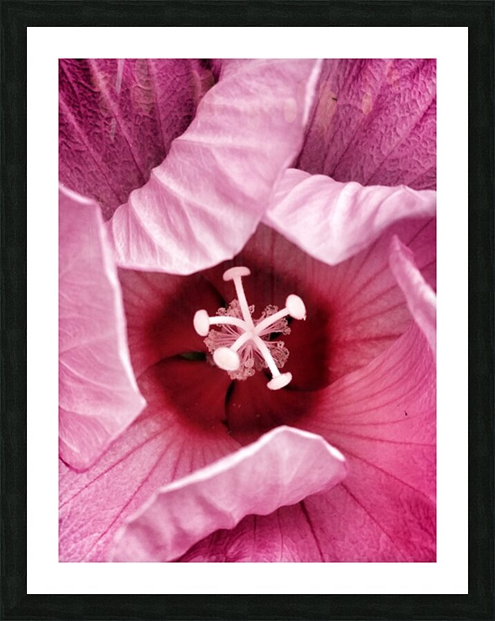 V314 Picture Frame print