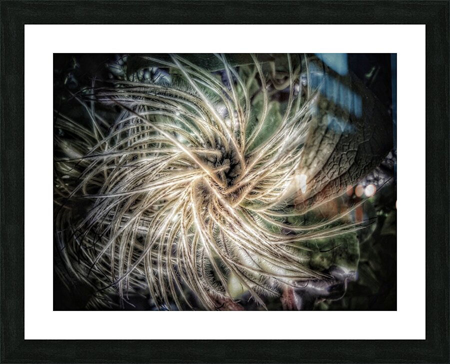 V315 Picture Frame print