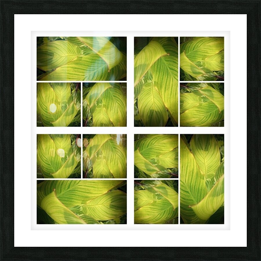 V318 Picture Frame print