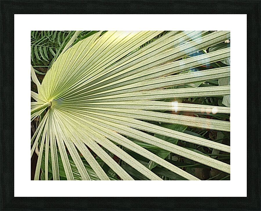 V319 Picture Frame print