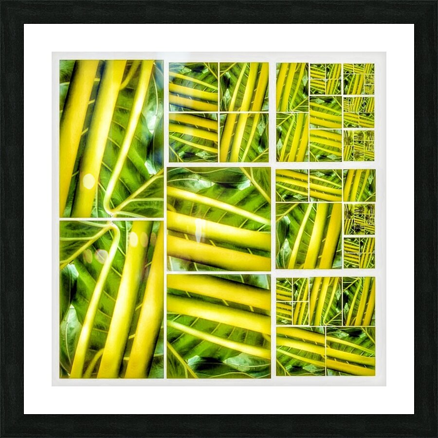V329 Picture Frame print