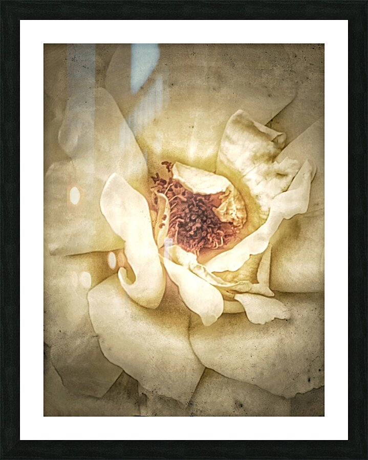 V332 Picture Frame print