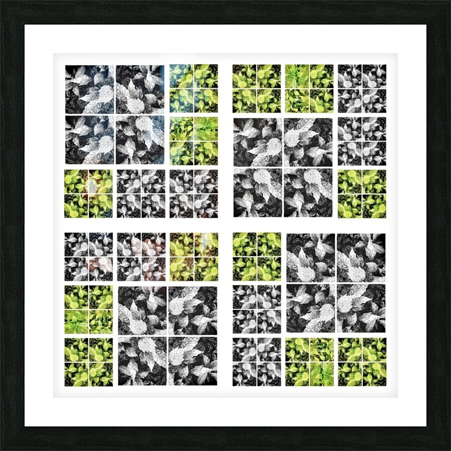 V333 Picture Frame print