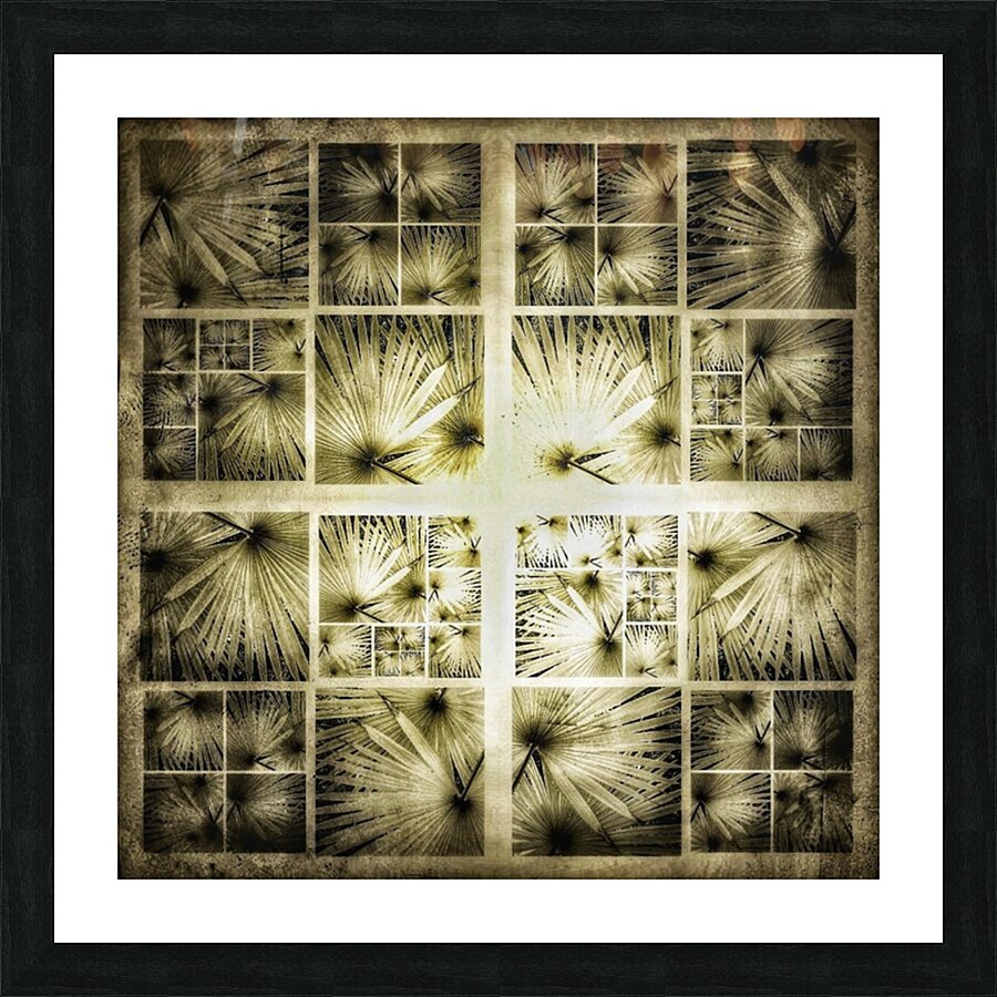 V334 Picture Frame print