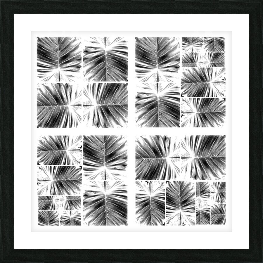 V341 Picture Frame print