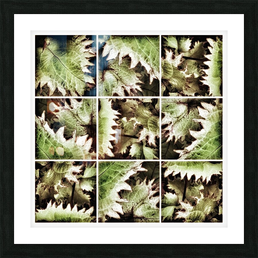 V342 Picture Frame print
