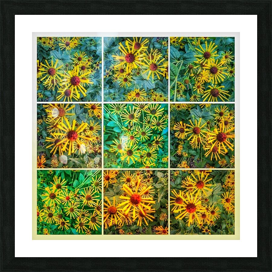 V344 Picture Frame print