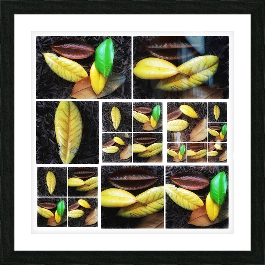 V345 Picture Frame print