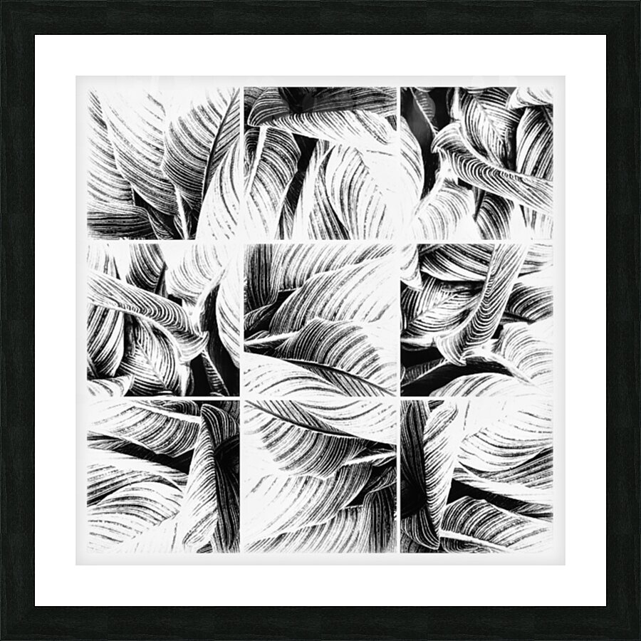 V346 Picture Frame print