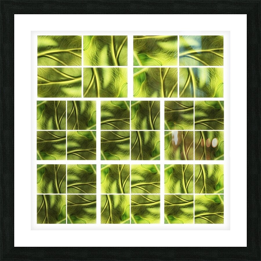 V347 Picture Frame print