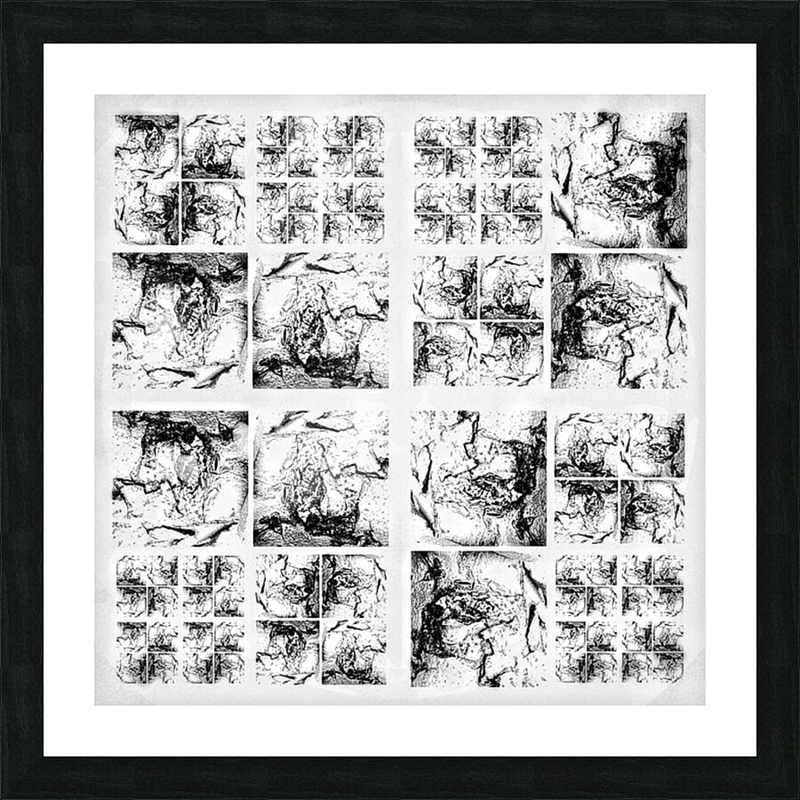 V348 Picture Frame print