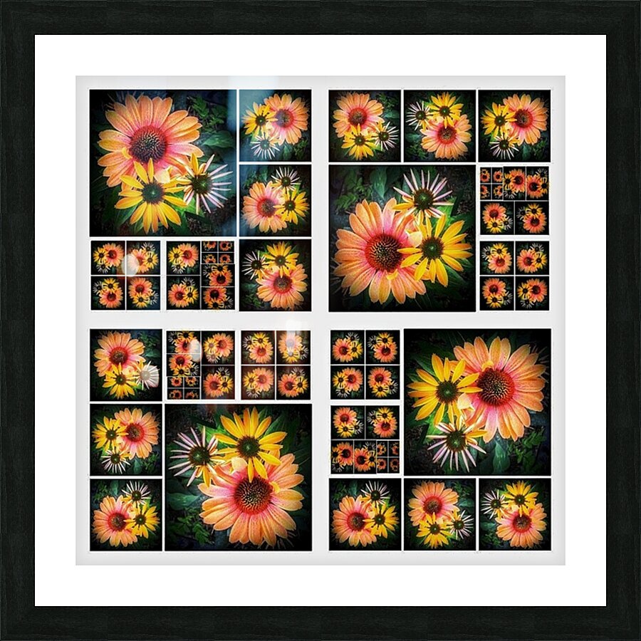 V349 Picture Frame print