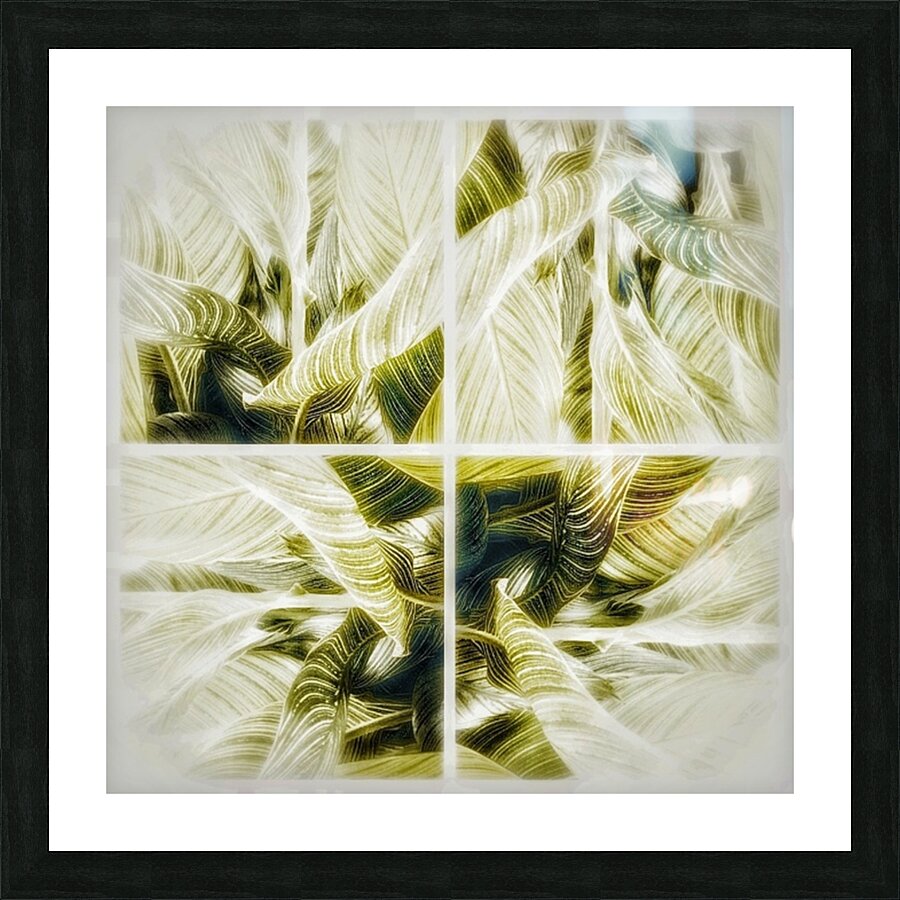 V351 Picture Frame print