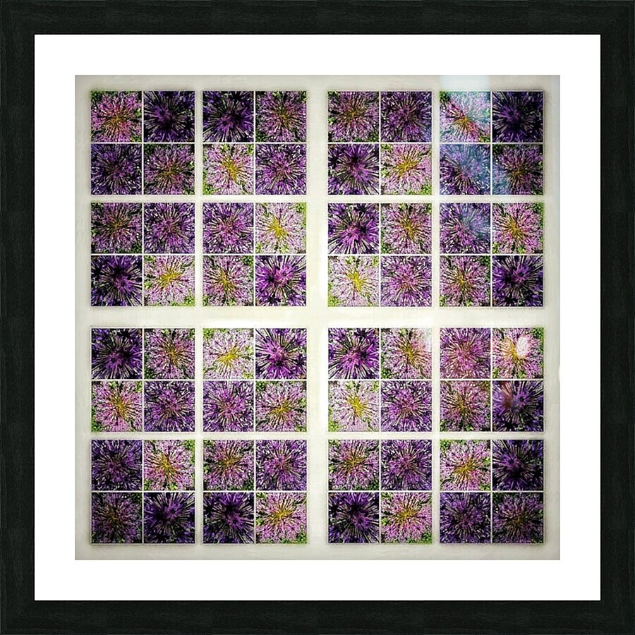 V352 Picture Frame print