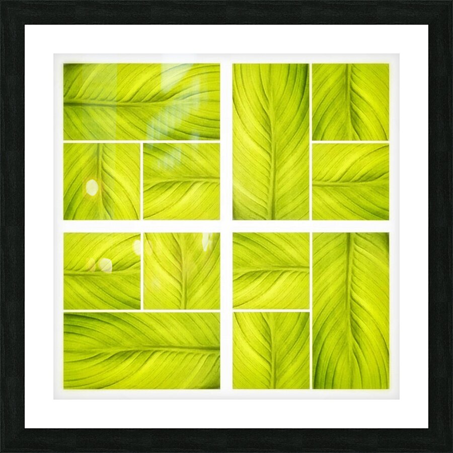 V354 Picture Frame print