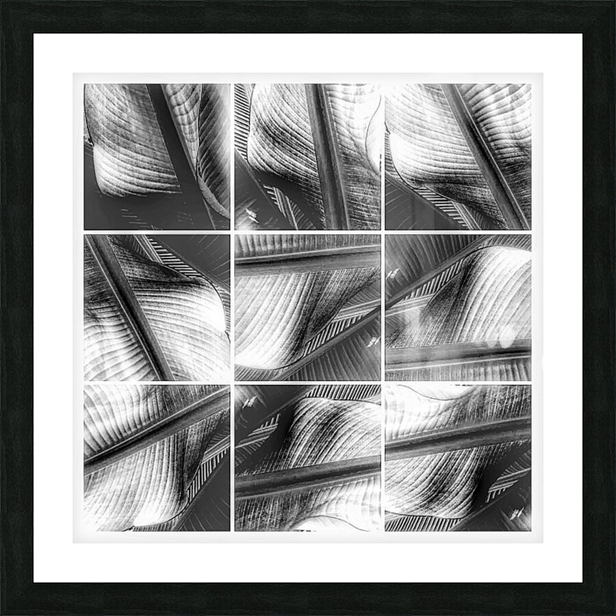 V355 Picture Frame print