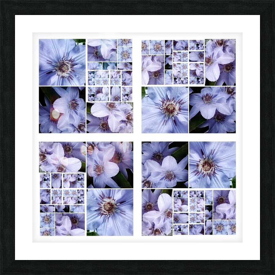 V356 Picture Frame print