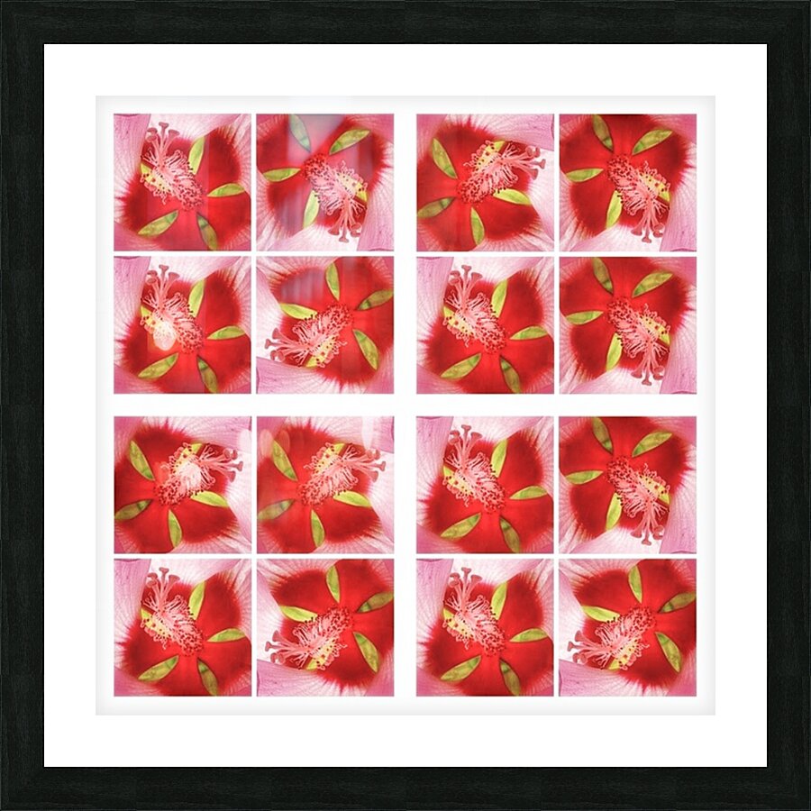V359 Picture Frame print