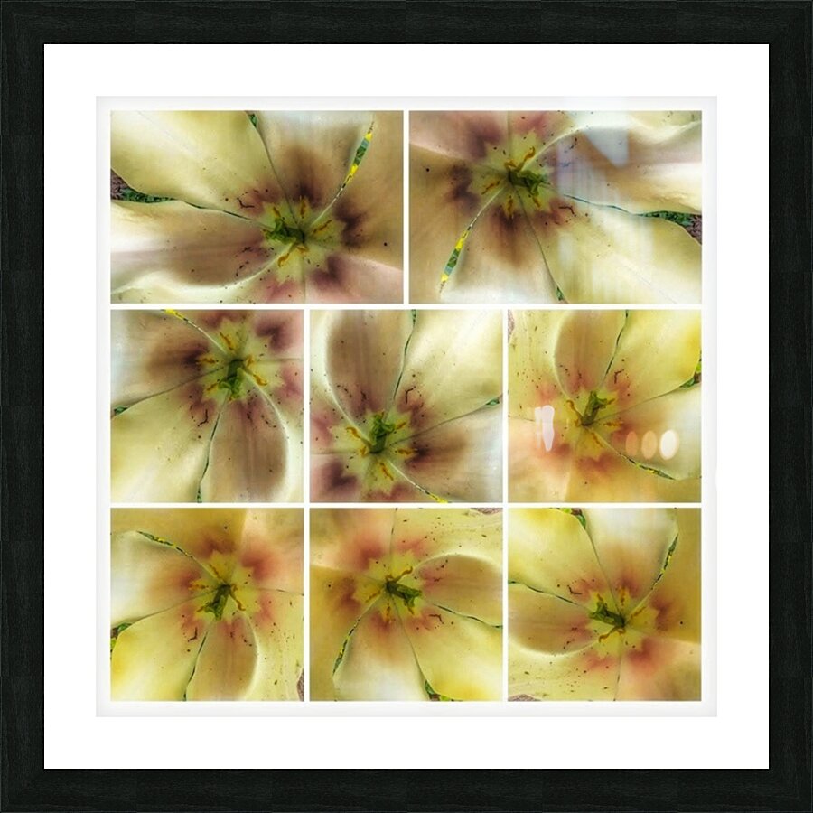 V361 Picture Frame print