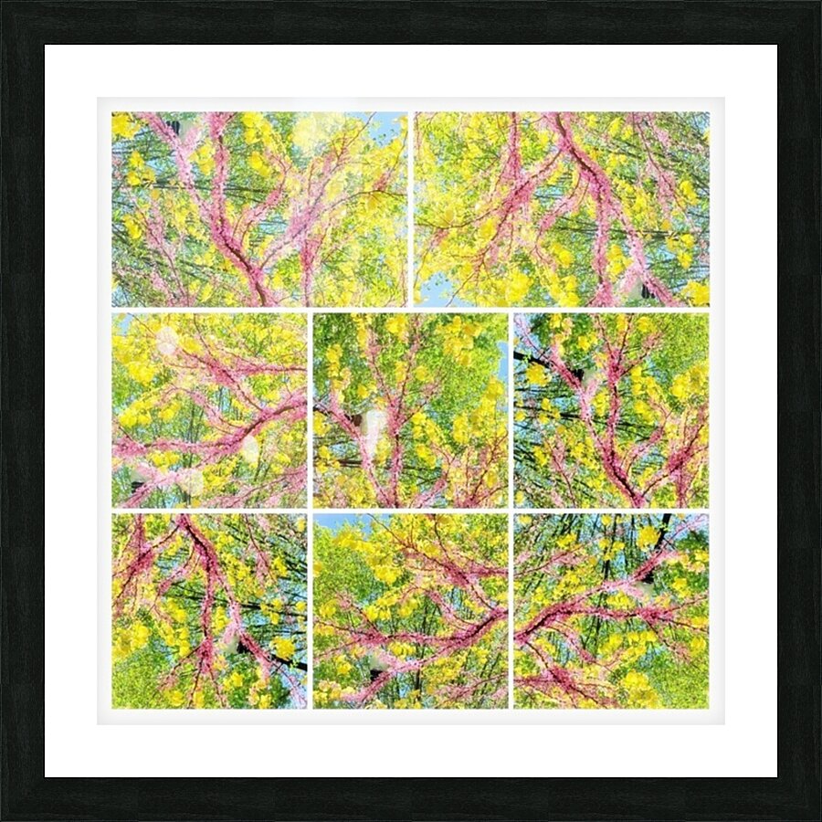 V363 Picture Frame print