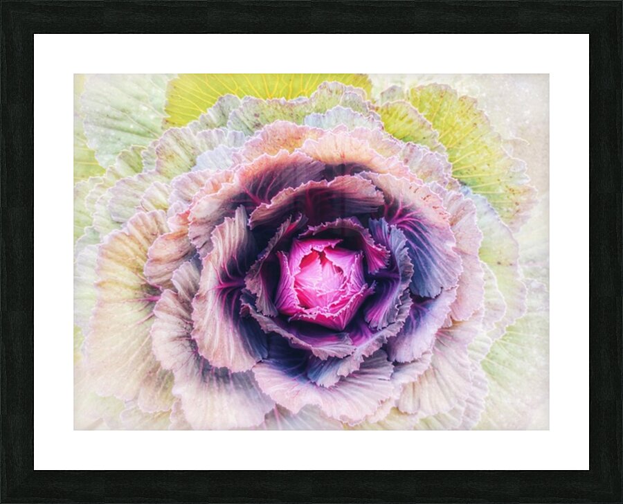 V364 Picture Frame print