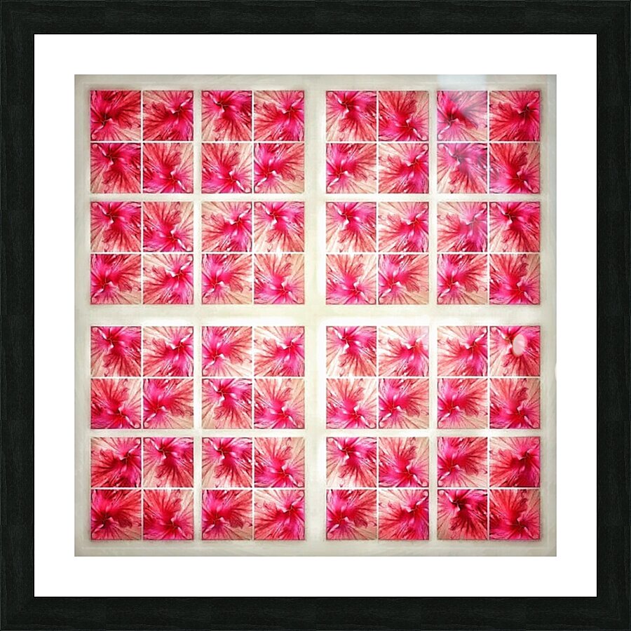 V367 Picture Frame print