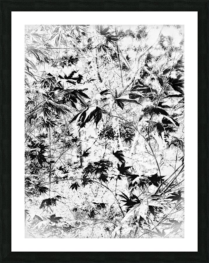 V372 Picture Frame print
