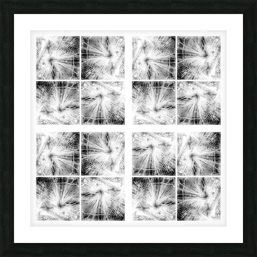 V374 Picture Frame print
