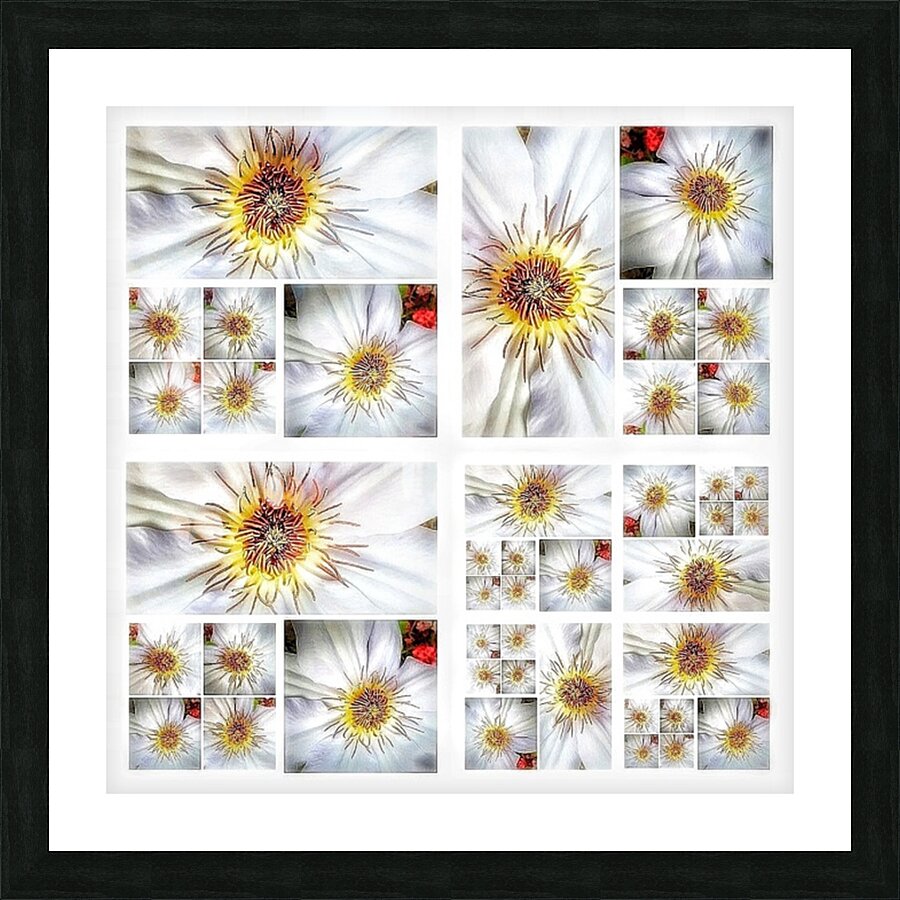 V376 Picture Frame print
