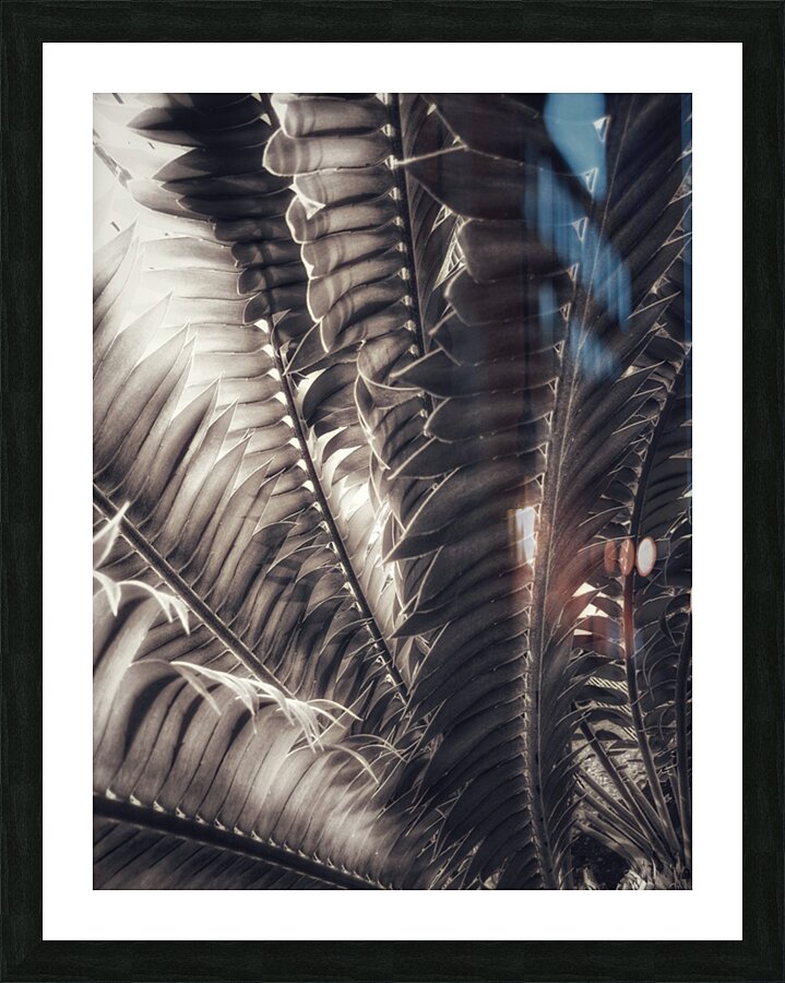 V379 Picture Frame print