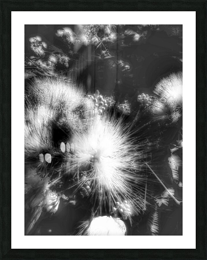 V380 Picture Frame print