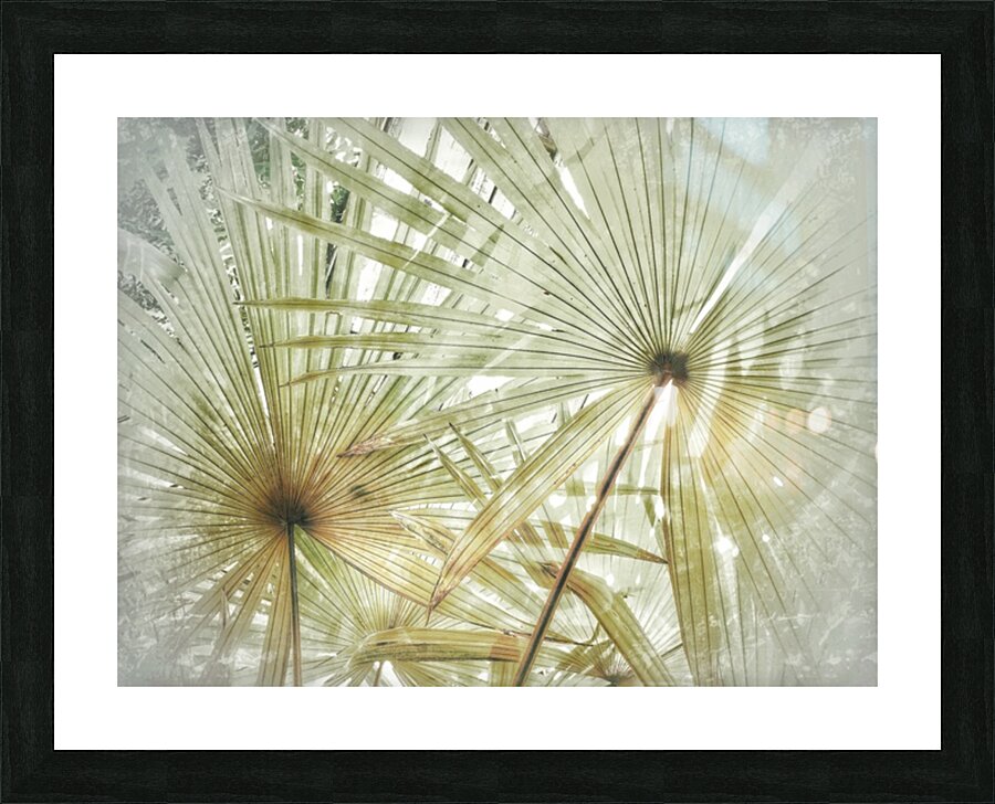 V382 Picture Frame print