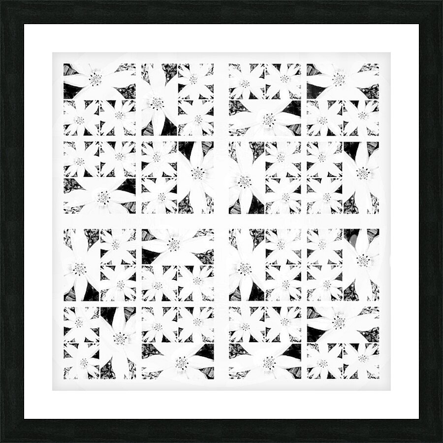 V383 Picture Frame print