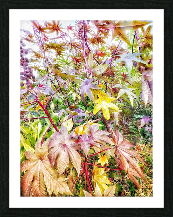 V384 Picture Frame print