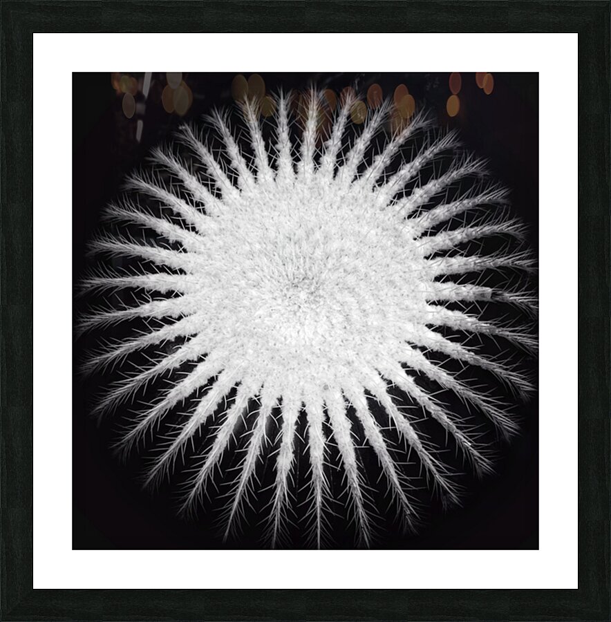 V385 Picture Frame print