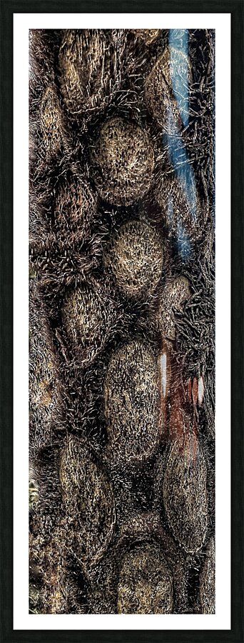 V388 Picture Frame print