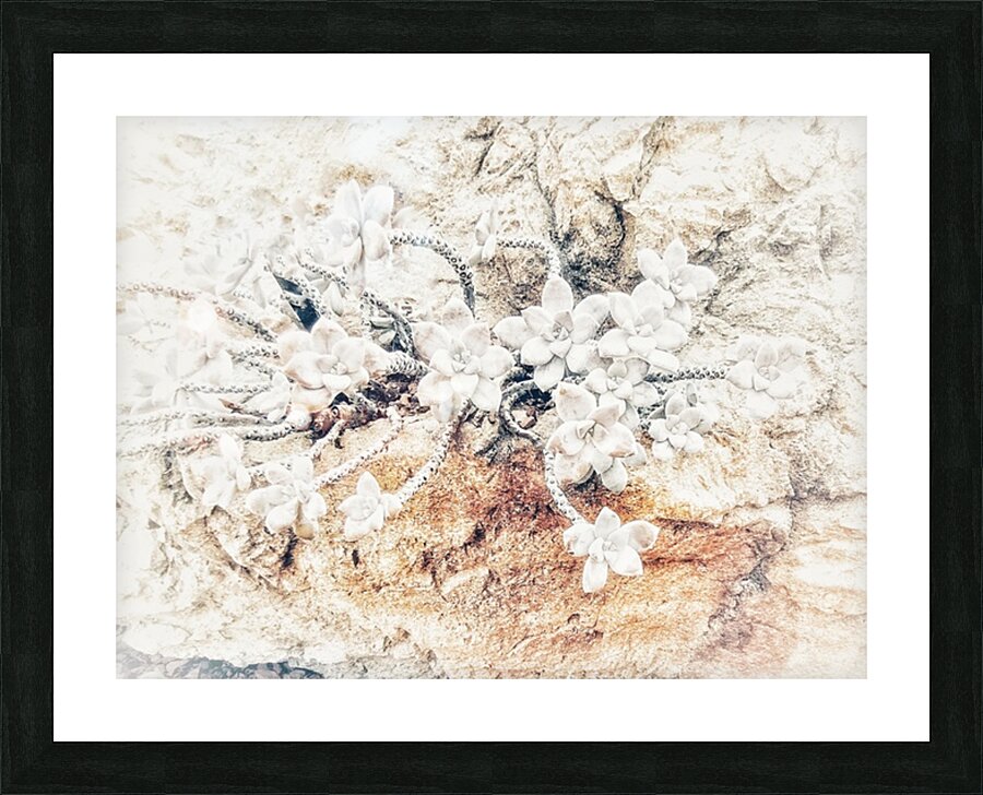 V390 Picture Frame print