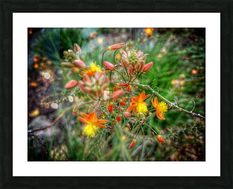 V392 Picture Frame print