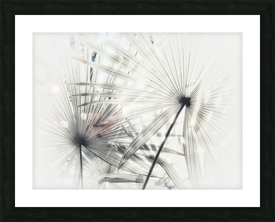 V398 Picture Frame print